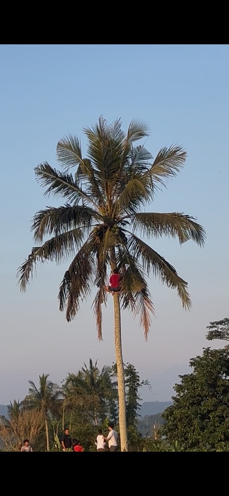 Berita