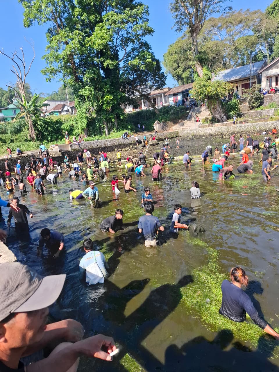 Berita