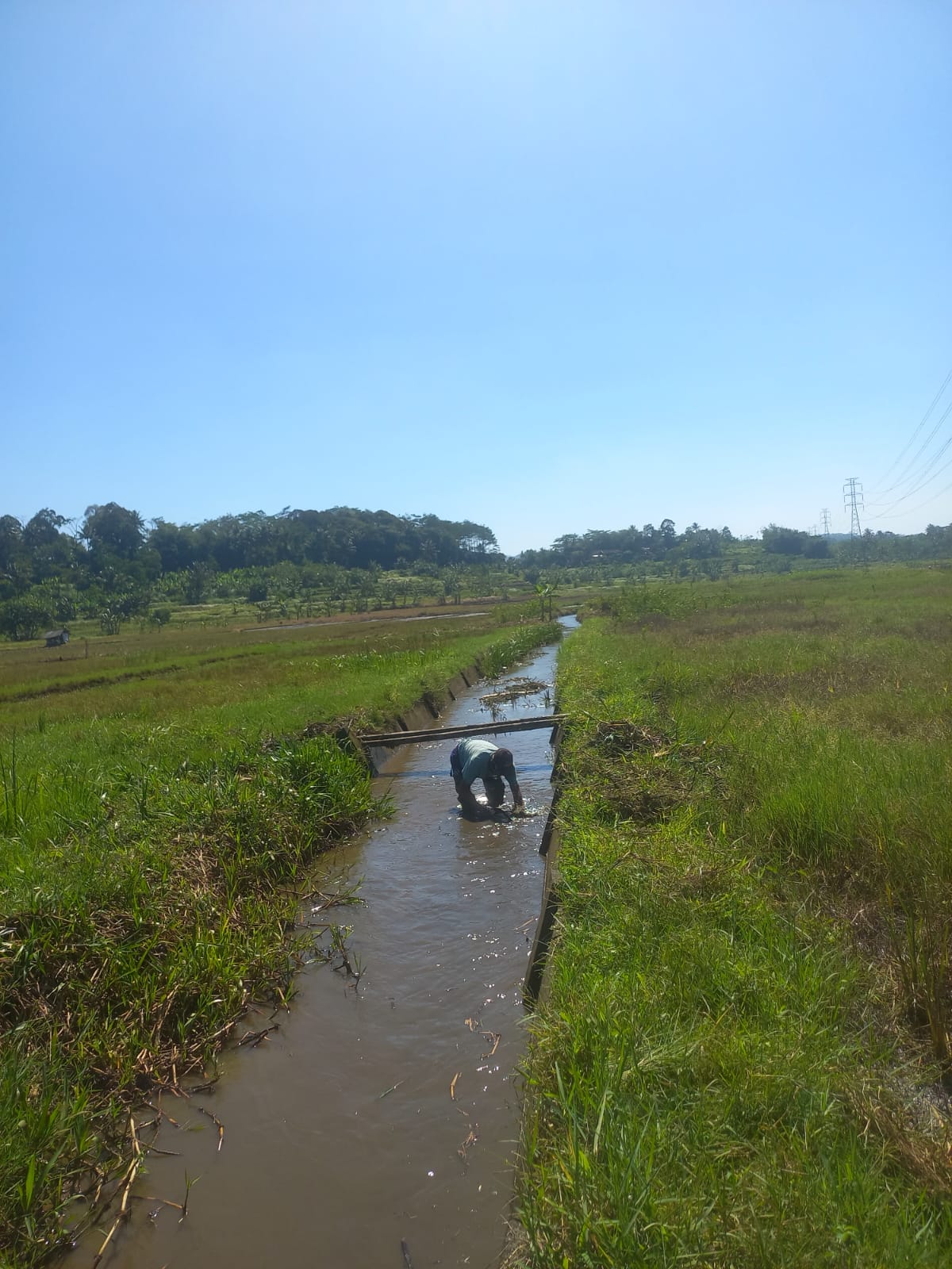 Berita