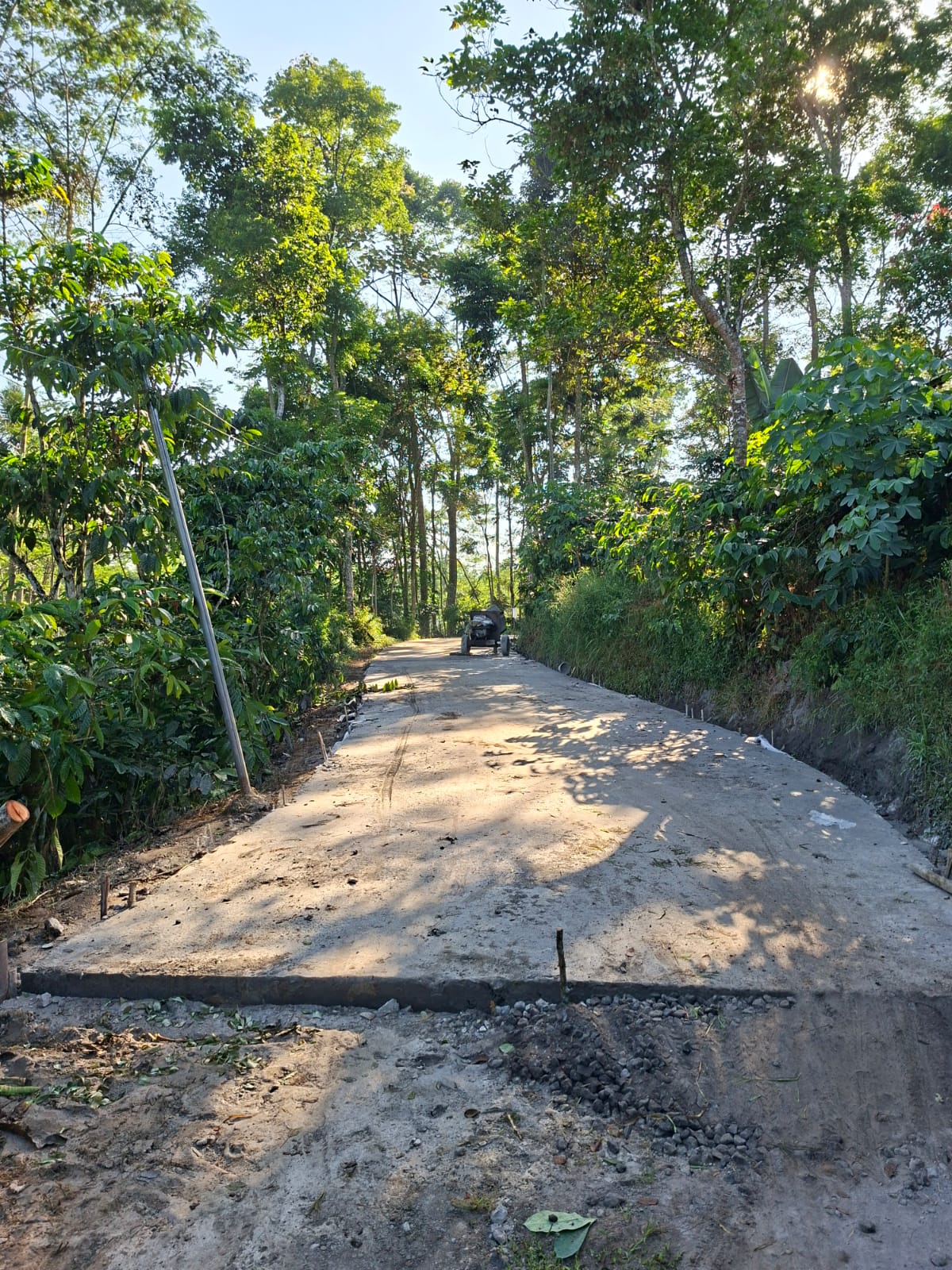 Berita