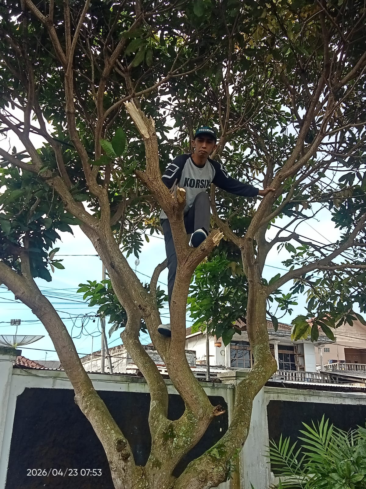 Berita