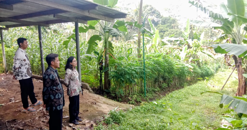 Berita