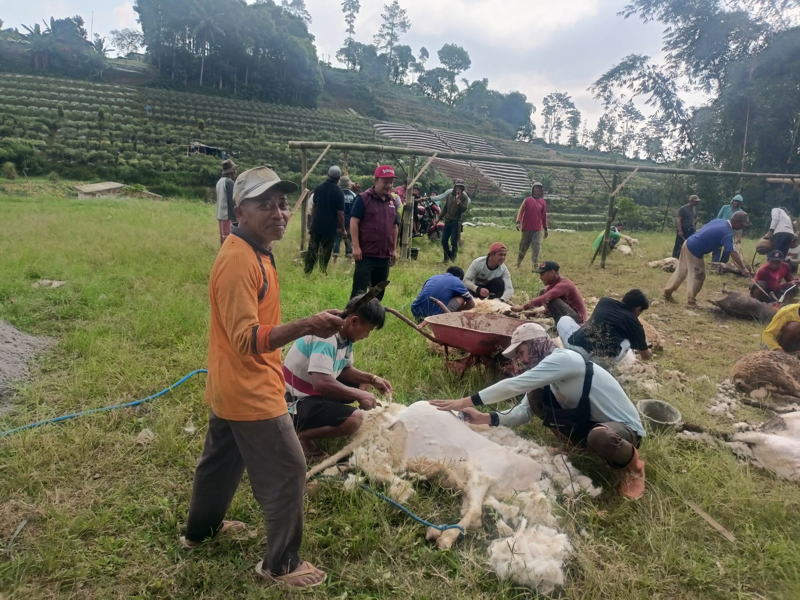 Berita