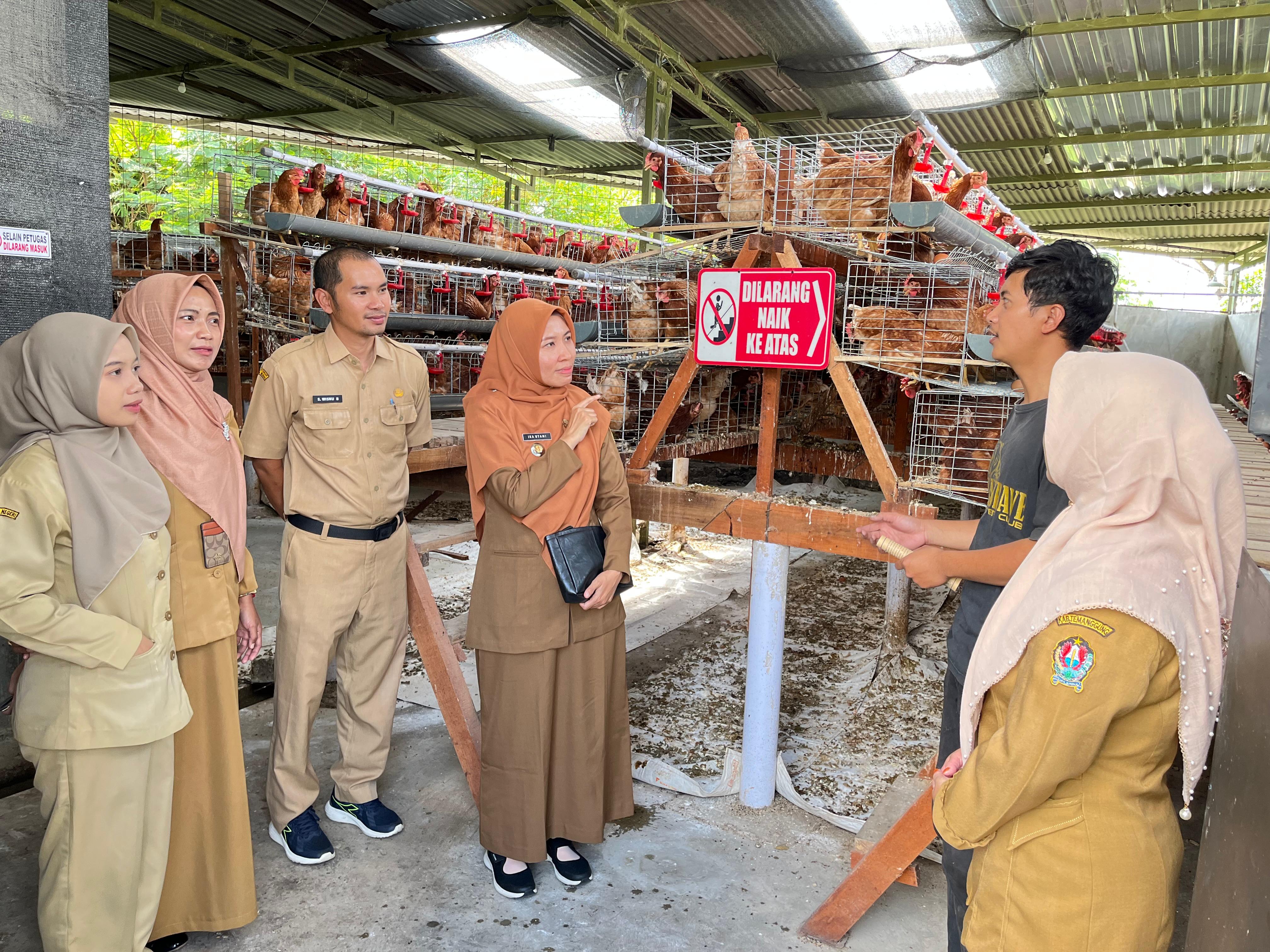 Berita