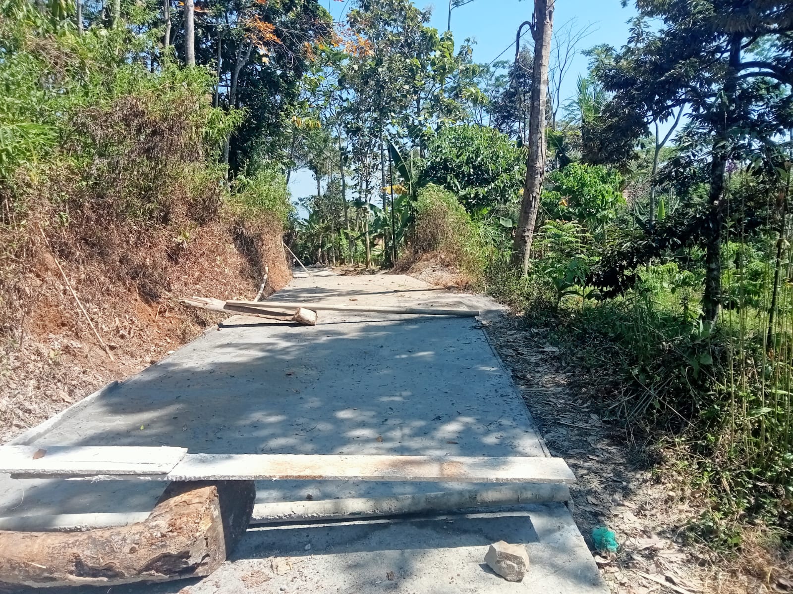Berita
